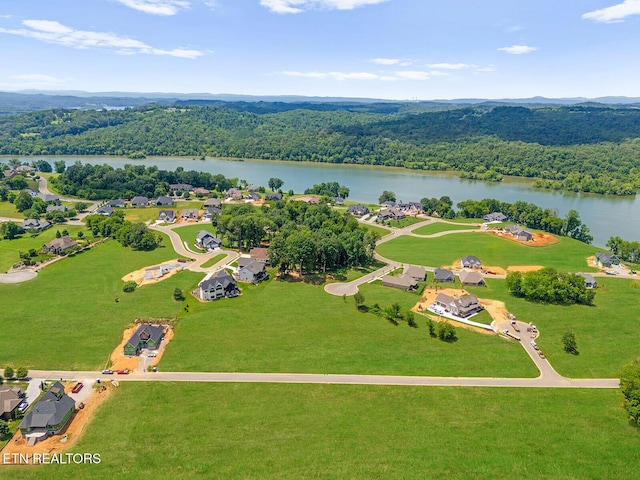 2594 Chestnut Ln, Loudon, TN 37774 - photo 13