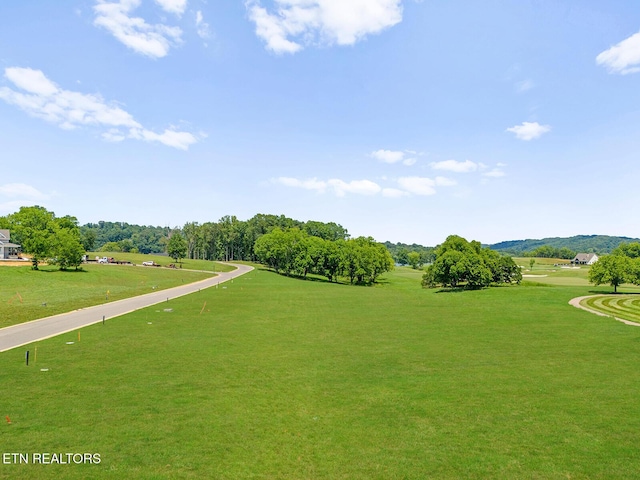 2594 Chestnut Ln, Loudon, TN 37774 - photo 18