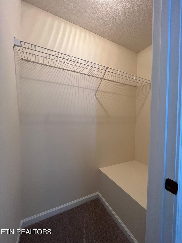 4709 Scepter Way, Knoxville, TN 37912 - spacious closet featuring dark colored carpet