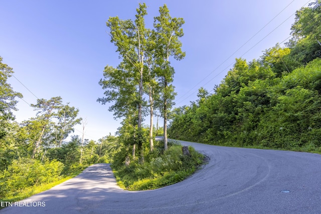 Loop Rd, Gatlinburg, TN 37738 - photo 6