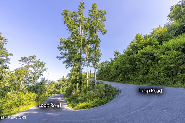 Loop Rd, Gatlinburg, TN 37738 - photo 7
