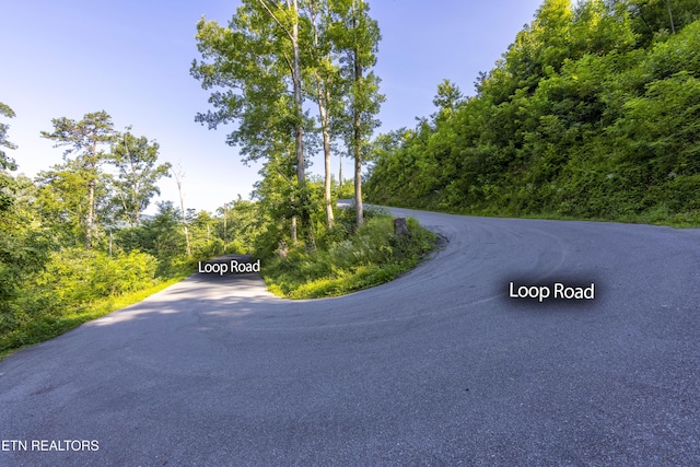 Loop Rd, Gatlinburg, TN 37738 - photo 9