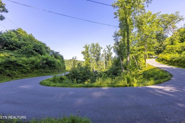 Loop Rd, Gatlinburg, TN 37738 - photo 10