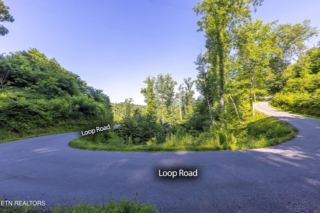 Loop Rd, Gatlinburg, TN 37738 - photo 11