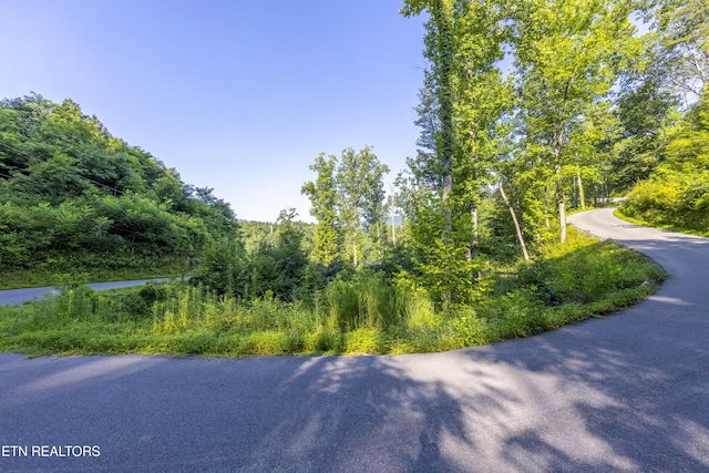 Loop Rd, Gatlinburg, TN 37738 - photo 12