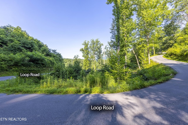 Loop Rd, Gatlinburg, TN 37738 - photo 13