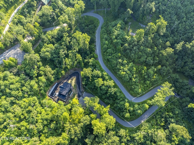 Loop Rd, Gatlinburg, TN 37738 - photo 14