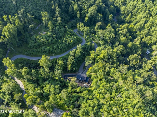 Loop Rd, Gatlinburg, TN 37738 - photo 16