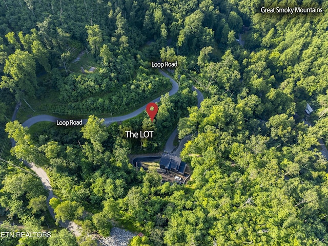 Loop Rd, Gatlinburg, TN 37738 - photo 17