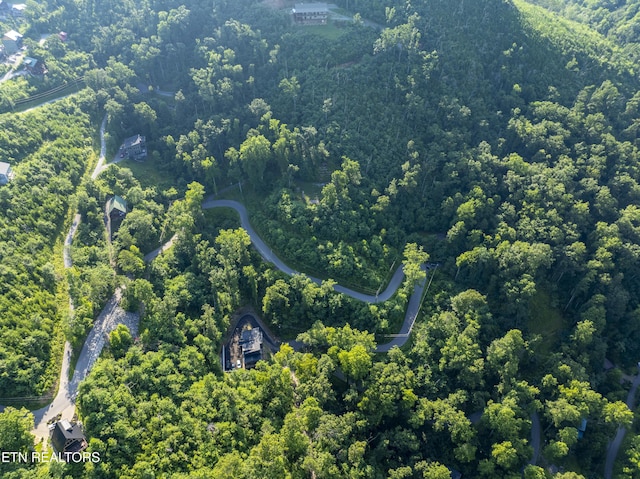 Loop Rd, Gatlinburg, TN 37738 - photo 18