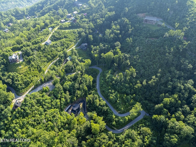 Loop Rd, Gatlinburg, TN 37738 - photo 20