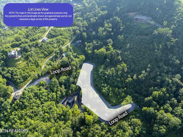 Loop Rd, Gatlinburg, TN 37738 - photo 21