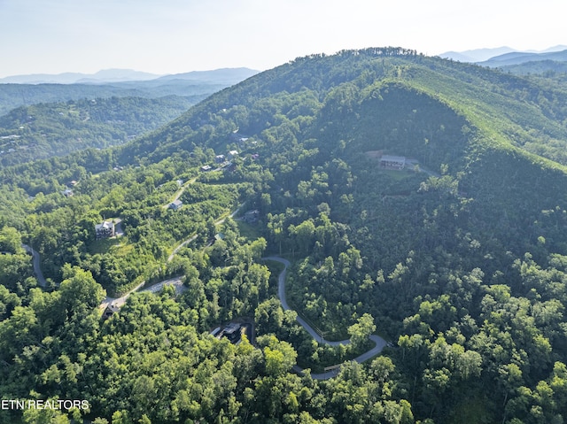 Loop Rd, Gatlinburg, TN 37738 - photo 22