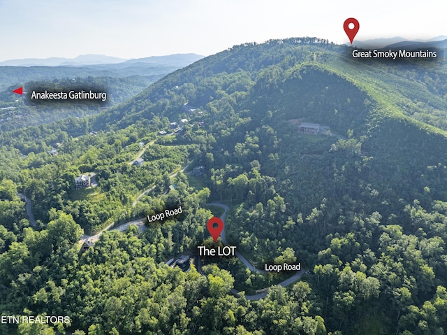 Loop Rd, Gatlinburg, TN 37738 - photo 3