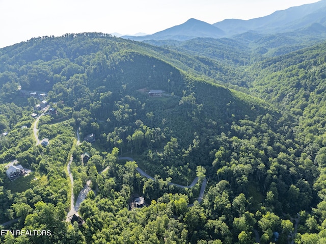 Loop Rd, Gatlinburg, TN 37738 - photo 23