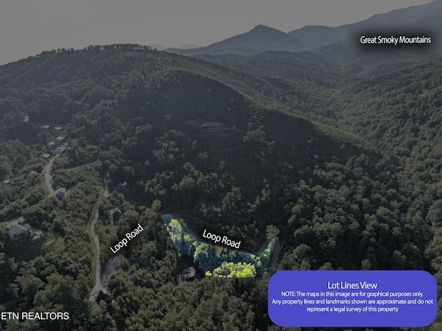 Loop Rd, Gatlinburg, TN 37738 - photo 24