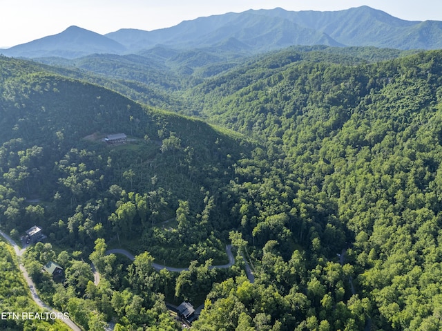 Loop Rd, Gatlinburg, TN 37738 - photo 25