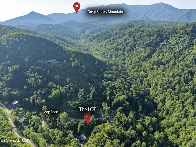 Loop Rd, Gatlinburg, TN 37738 - photo 26