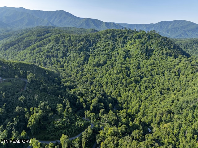 Loop Rd, Gatlinburg, TN 37738 - photo 27