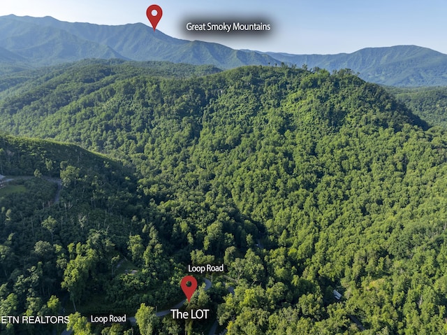 Loop Rd, Gatlinburg, TN 37738 - photo 28