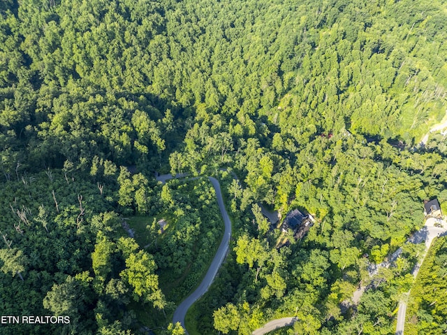 Loop Rd, Gatlinburg, TN 37738 - photo 29