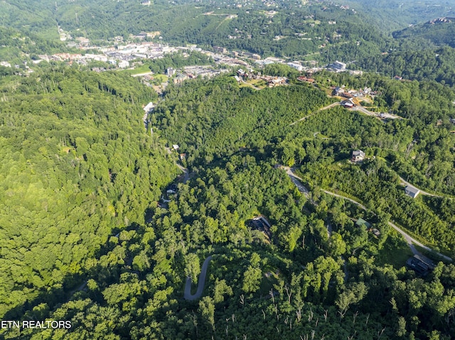 Loop Rd, Gatlinburg, TN 37738 - photo 30