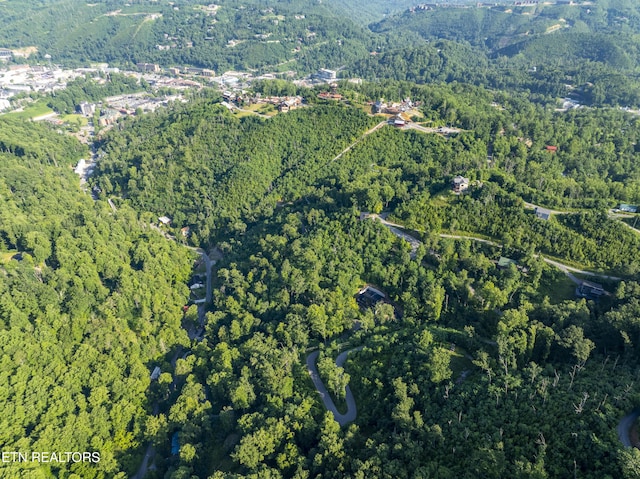 Loop Rd, Gatlinburg, TN 37738 - photo 31