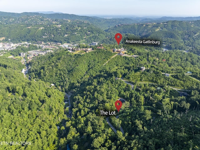 Loop Rd, Gatlinburg, TN 37738 - photo 5