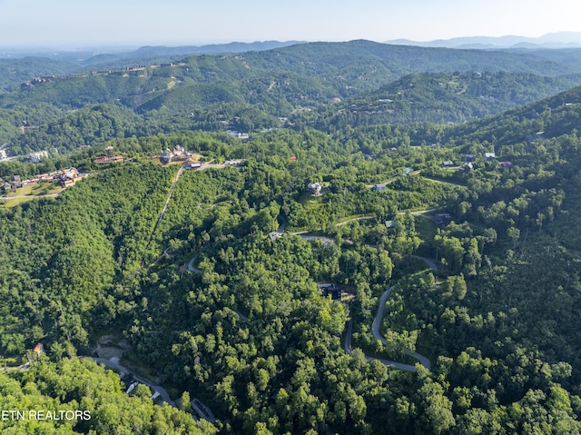 Loop Rd, Gatlinburg, TN 37738 - photo 32