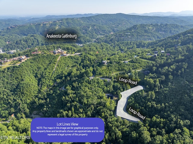 Loop Rd, Gatlinburg, TN 37738 - photo 33