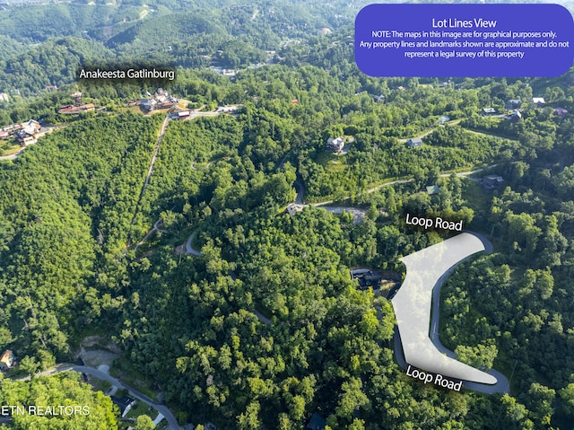 Loop Rd, Gatlinburg, TN 37738 - photo 4