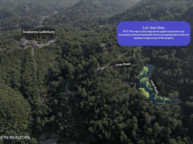 Loop Rd, Gatlinburg, TN 37738 - photo 34