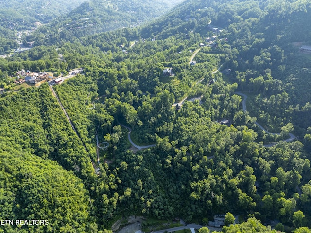 Loop Rd, Gatlinburg, TN 37738 - photo 35