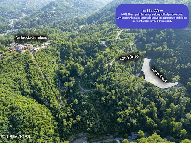 Loop Rd, Gatlinburg, TN 37738 - photo 36