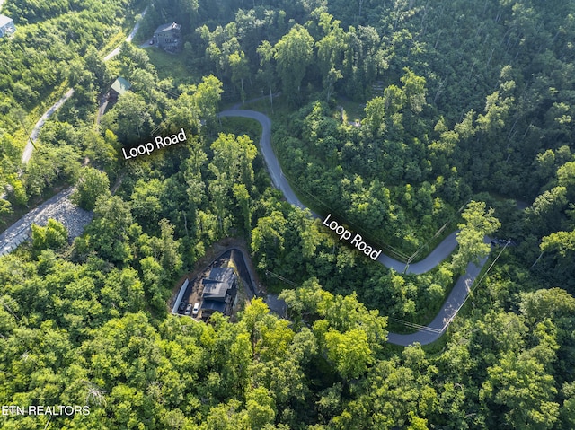 Loop Rd, Gatlinburg, TN 37738 - photo 37
