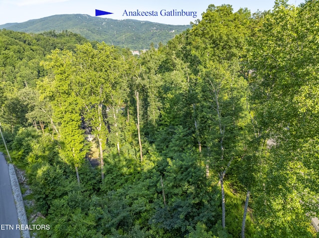 Loop Rd, Gatlinburg, TN 37738 - photo 40