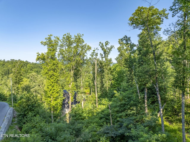 Loop Rd, Gatlinburg, TN 37738 - photo 41