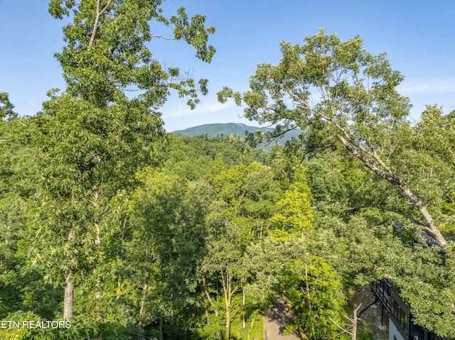 Loop Rd, Gatlinburg, TN 37738 - photo 43