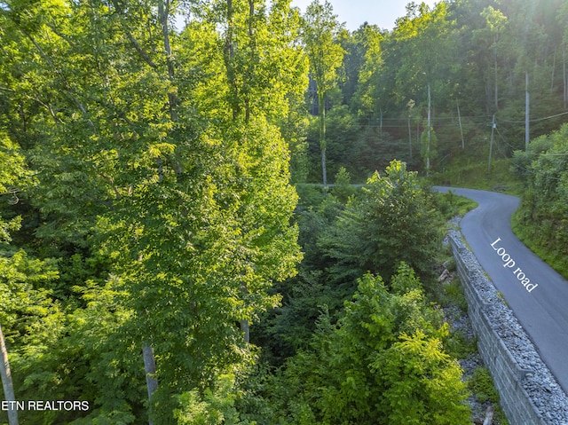 Loop Rd, Gatlinburg, TN 37738 - photo 44