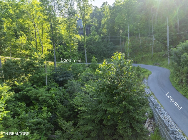 Loop Rd, Gatlinburg, TN 37738 - photo 45
