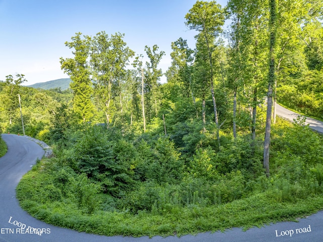 Loop Rd, Gatlinburg, TN 37738 - photo 46