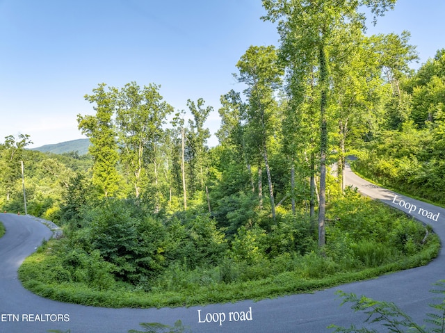 Loop Rd, Gatlinburg, TN 37738 - photo 1