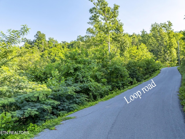 Loop Rd, Gatlinburg, TN 37738 - photo 47