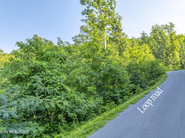Loop Rd, Gatlinburg, TN 37738 - photo 48