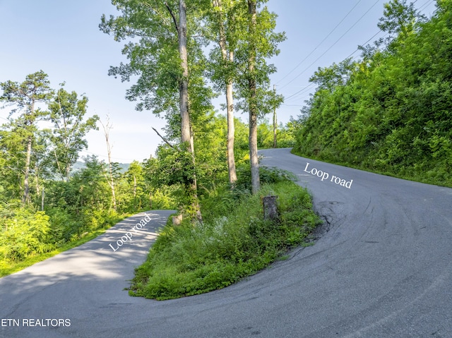 Loop Rd, Gatlinburg, TN 37738 - photo 49