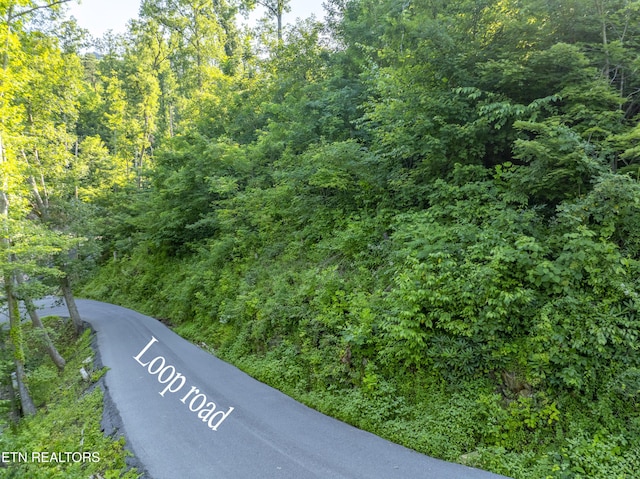 Loop Rd, Gatlinburg, TN 37738 - photo 50