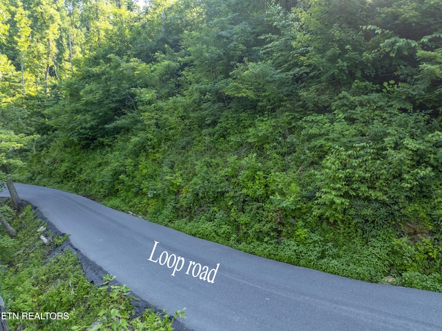 Loop Rd, Gatlinburg, TN 37738 - photo 51