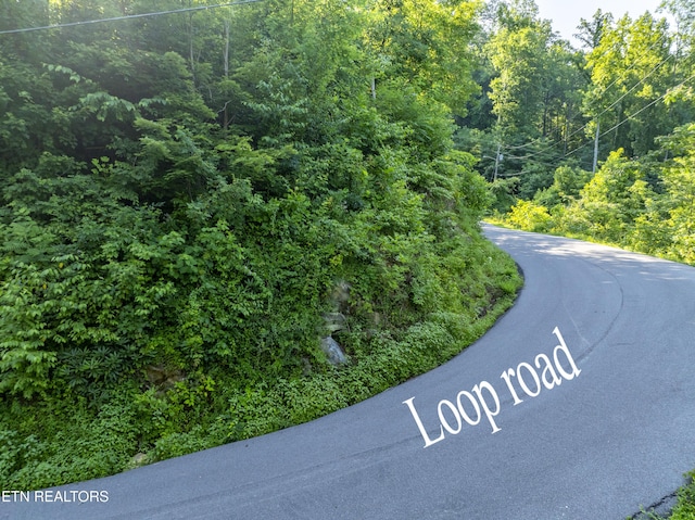 Loop Rd, Gatlinburg, TN 37738 - photo 52