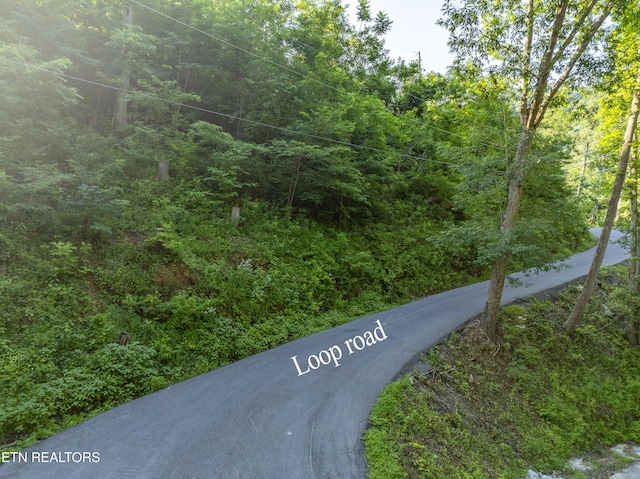 Loop Rd, Gatlinburg, TN 37738 - photo 53