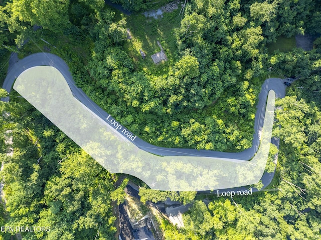 Loop Rd, Gatlinburg, TN 37738 - photo 55